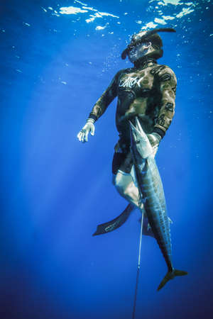 A spear fisherman brings up a giant wahoo