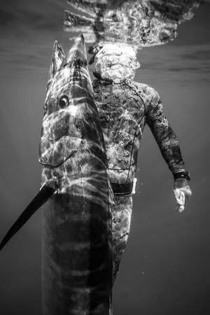 A spear fisherman with a giant wahoo in the Caribbeanの写真素材