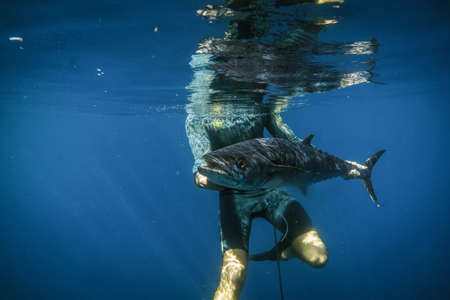Spearfisherman with giant kingfish in Puerto Ricoの写真素材