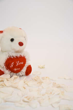 Teddy bearの写真素材