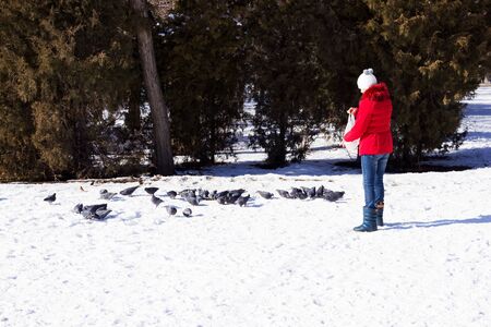 VOLGOGRAD, RUSSIA - February 13, 2015: the Girl is feeding winter birds in the Park. Volgograd, Russiaのeditorial素材