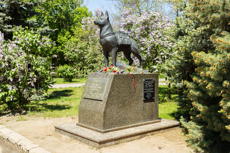 VOLGOGRAD, RUSSIA - April 29, 2016: A monument to the guard dog exterminating in the years of war of fascist aggressors. Chekistov Square, Volgograd, Russiaのeditorial素材