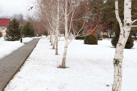 VOLGOGRAD, RUSSIA - February 24, 2017: The road in the winter park in the afternoonのeditorial素材