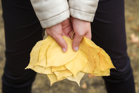 Female hands hold Ð±ÑÐºÐµÐº from yellow leaves. Close upの写真素材