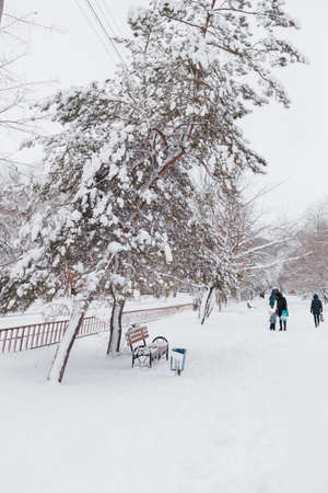 VOLGOGRAD, RUSSIA - 23 December, 2018: Walks of people in the winter park in the winter with white snow and hoarfrost on treesのeditorial素材