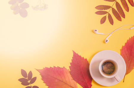 Coffee with herbarium and headphones on yellow background. Autumn. Flat lay. Top view. Copy spaceの写真素材