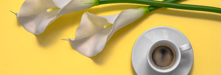 White calla flower with coffee isolated on yellow background. Morning. Flat lay. Top view. Copy spaceの写真素材