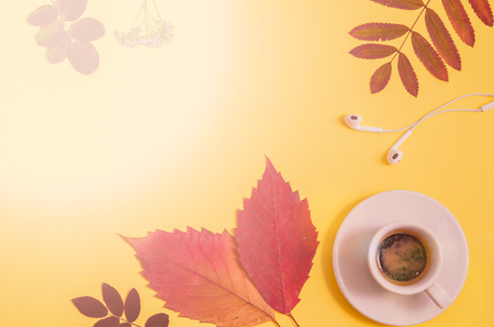 Coffee with herbarium and headphones on yellow background. Autumn. Flat lay. Top view. Copy spaceの写真素材