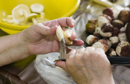 grandmother cuts suillus mushrooms in a large yellow plate.の写真素材