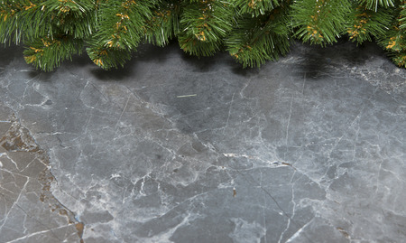 green spruce branches on gray marble background.の写真素材