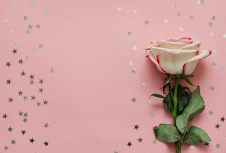 Single rose flower with holographic stars on pink background with place for text.の写真素材