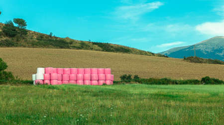 Landscape of a field with straw bales covered with pink plasticの写真素材