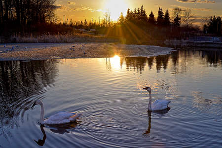 sunset in spring sceneryの写真素材