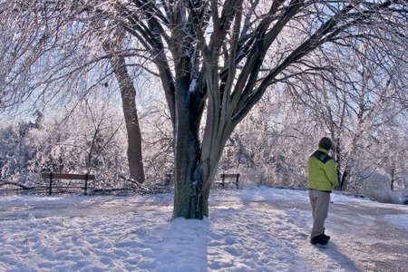 Winter Ice Storm in parkの写真素材