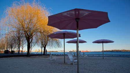 Beach chairs with umbrella in sunset colourの写真素材