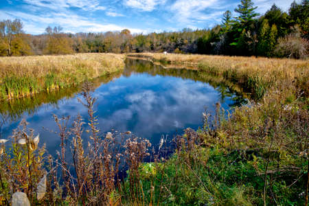Autumn color on the bank of a quiet river - bright blue sky and cumulus clouds reflected in the water.の写真素材