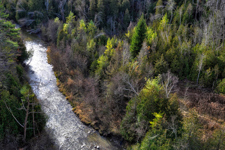 Aerial view of landscape of the forest in early springの写真素材