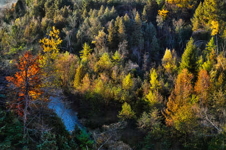 Drone view of the river valley of the National Park in autumn.の写真素材