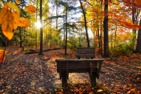 High angle view of the park bench with a lens flare in autumnの写真素材