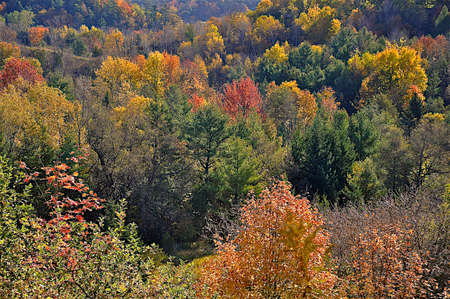 Muti - color autumn leaf in the valleyの写真素材