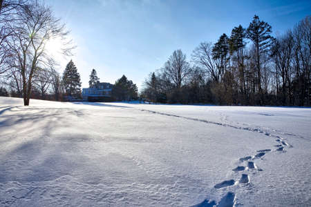 The footprint on the snow covering the park in the winterの写真素材