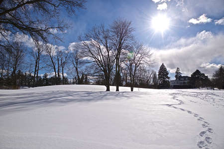 The footprint on the snow covering park in the winterの写真素材