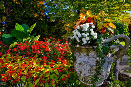 Outdoor backyard with a flowerpot in autumnの写真素材