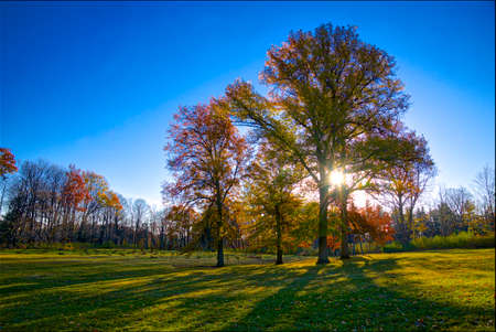 Sunrise with autumn leaf colour and lens flareの写真素材