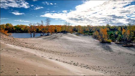 Spectacular sunrise over the sandy beach with autumn leaf colorの写真素材