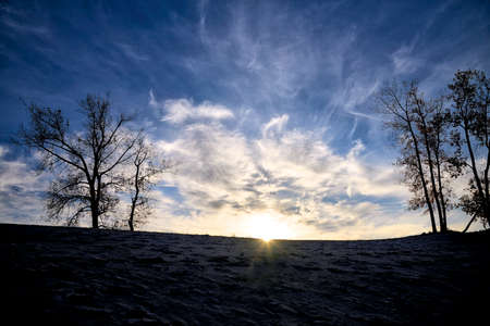 Landscape view of the sky before the sunset. Silhouette of the trees in the sand dune with blue sky.の写真素材