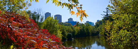 Panoramic view of the city landscape with fall leaf colourの写真素材