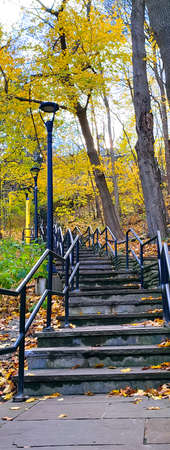 Panoramic vertical photo of the steps in autumn with colourful autumn leaves. Vertical format photos.の写真素材