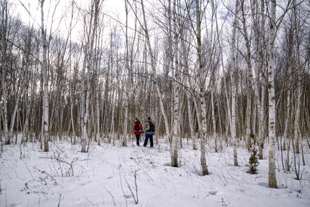 Winter landscape of walking in the birch tree forest in the parkの写真素材