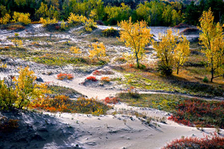 Landscape of sands dunes with a high angle viewの写真素材