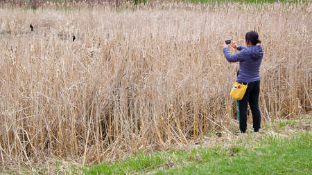 Using a cell phone to get a photo of the bird in natural environment