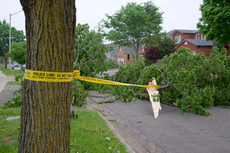POLICE LINE BARRIER TAPE set up in the area of toppling trees cause by strong winds in a residential district.の写真素材