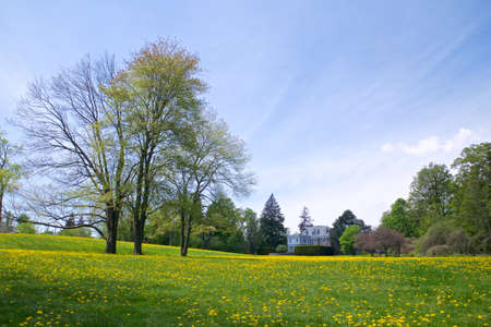 Wide angle view of the backyard of a mansion in springtimeの写真素材