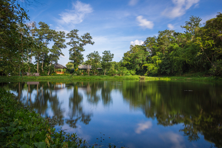 Kathu Waterfall in Phuket isÂ a conservation area surrounding with the lush green forest. There needÂ toÂ do a bit hiking on these, however, it's worth for the natural splendour.の写真素材