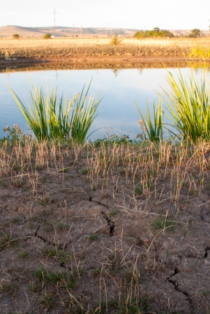 Dry cracked soil, with a lake in the backgroundの写真素材