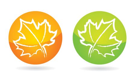 Hand drawing Maple leaf icon set のイラスト素材
