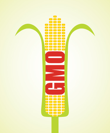 Genetically modified maize, agricultural concept, abstract illustrationのイラスト素材