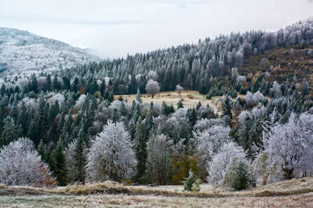 Winter mountains landscape with forest tree and blue sky. Romaniaの写真素材