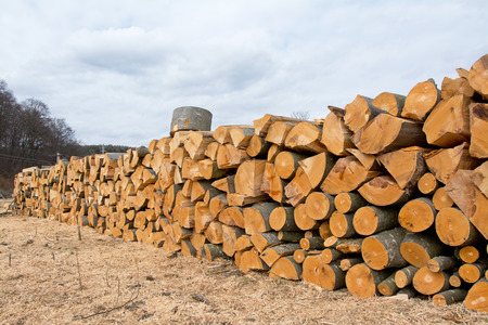 The section of the beech firewood logs stacked up on top of each other in a pileの写真素材