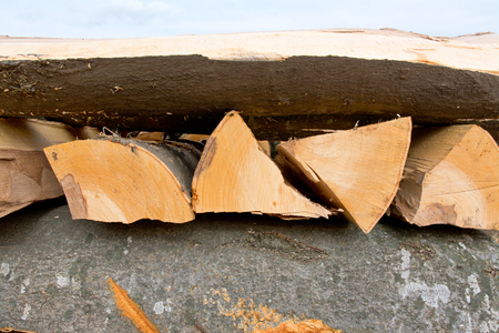The section of the beech firewood logs stacked up on top of each other in a pileの写真素材