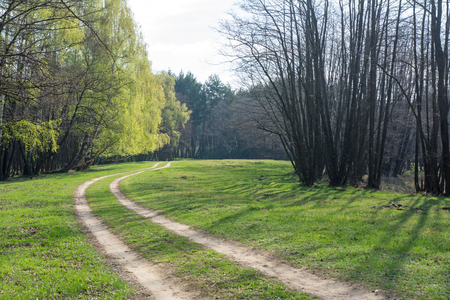 Spring lanscape with forest and dirt roadの写真素材
