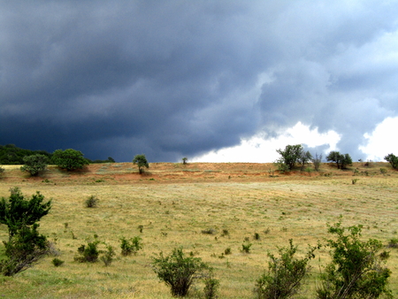 Wild yellow meadow near the mountain on the background of cloudsの写真素材