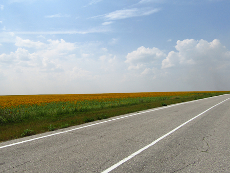 Asphalt road in the fieldsの写真素材