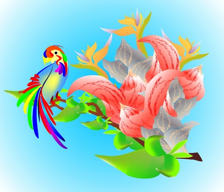 Parrotのイラスト素材