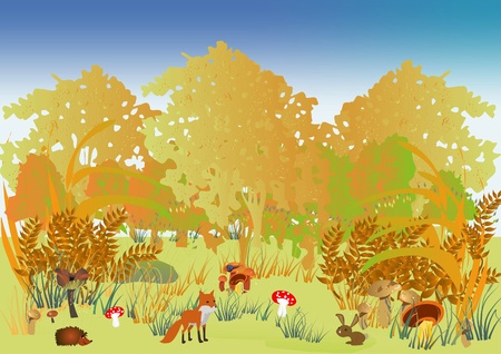 autumn forestのイラスト素材