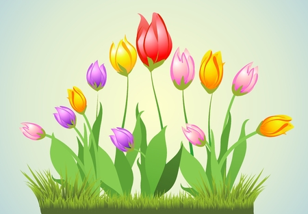 Spring tulips and grassのイラスト素材